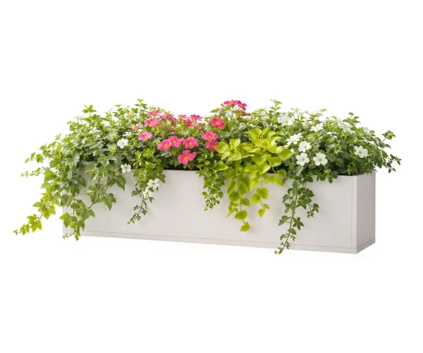 Meadowbox Series Window Box
